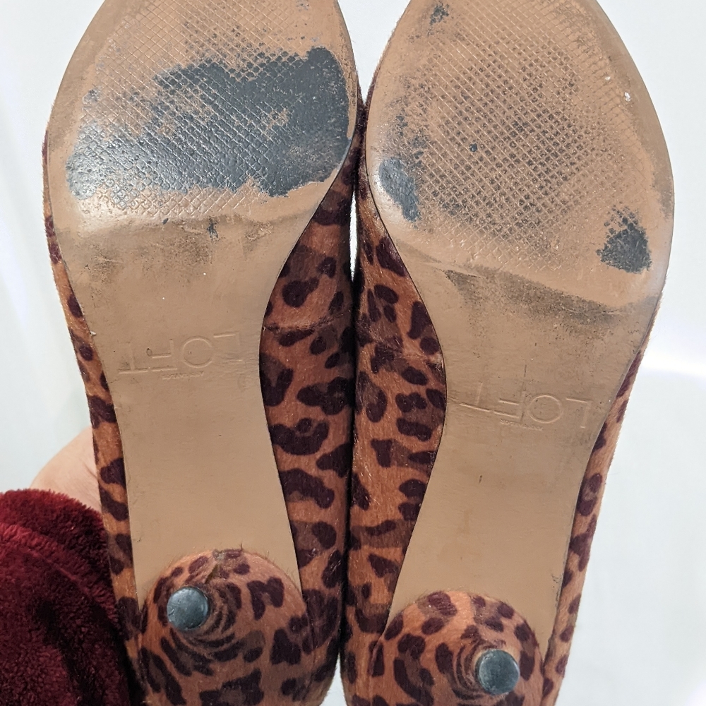 Leopard print heels by Loft - Picture 13 of 14